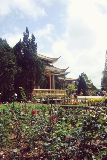 a garden of roses in the temple 
